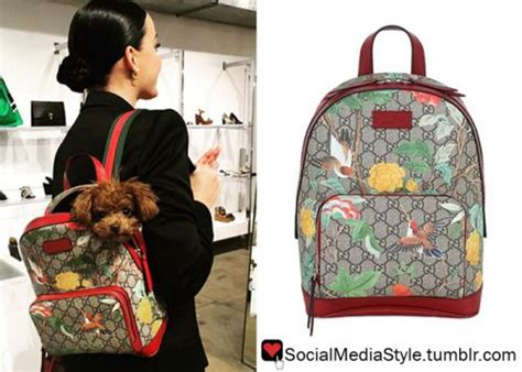 gucci backpack hummingbird